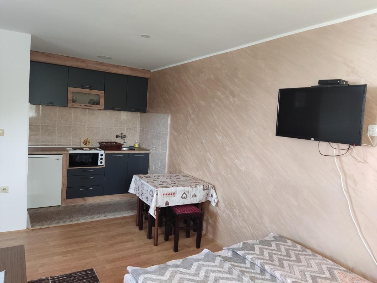 Aleksijevic Apartment