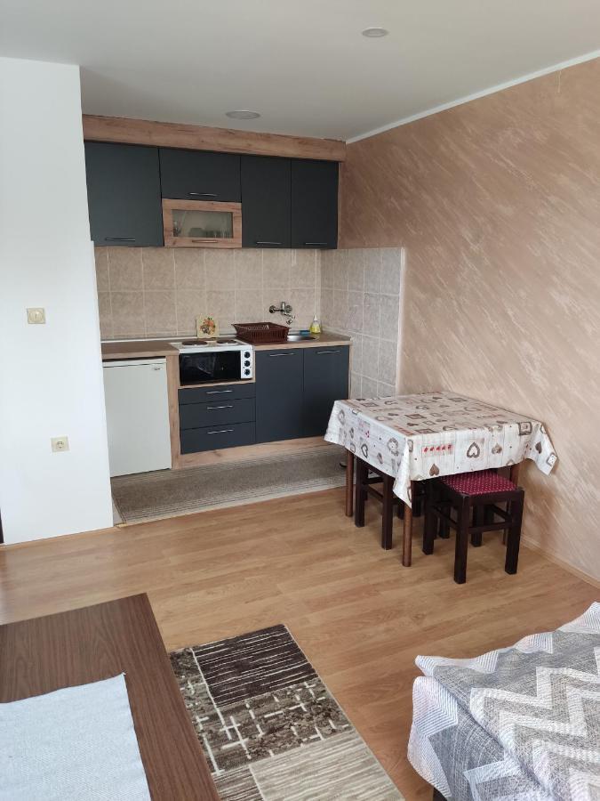 Aleksijevic Apartment