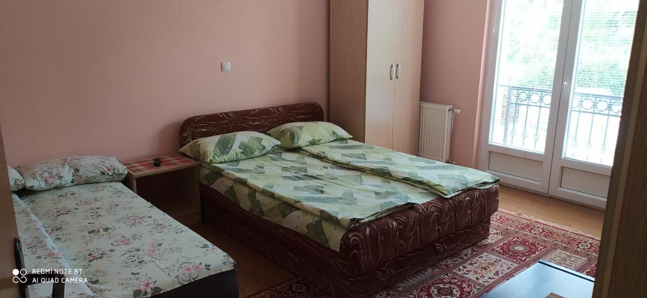 Aleksijevic Apartment *