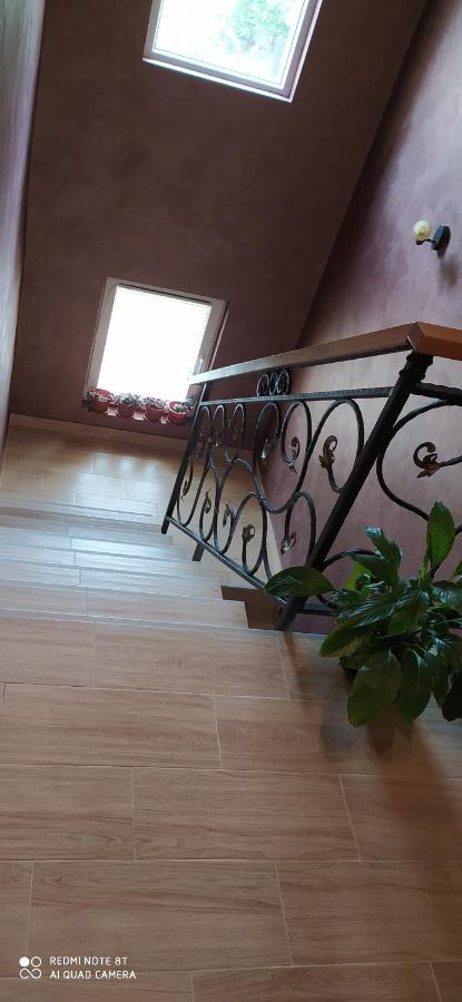 Apartment Aleksijevic Zlatibor