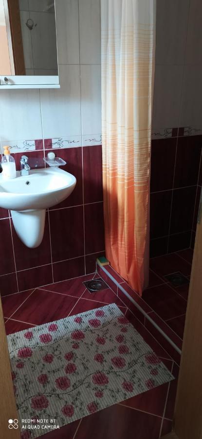 Aleksijevic Apartment *
